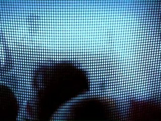 Jochen Miller - Classified