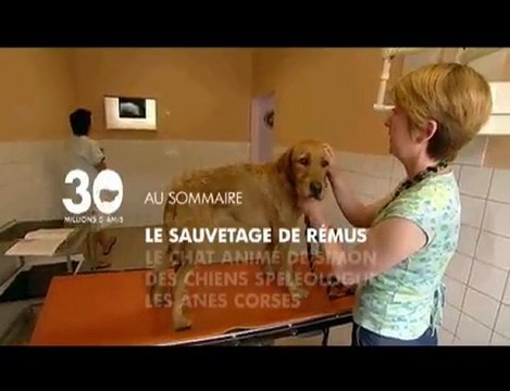 Sommaire émission 30 millions d'amis 2/01/2011