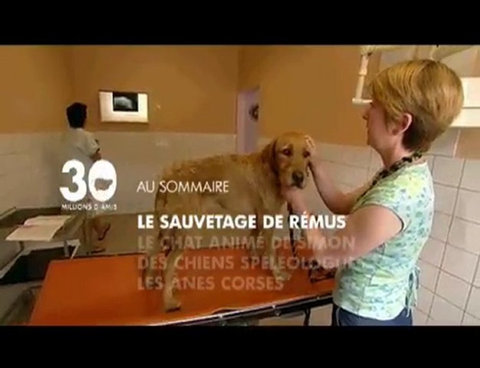 Sommaire émission 30 millions d'amis 2/01/2011