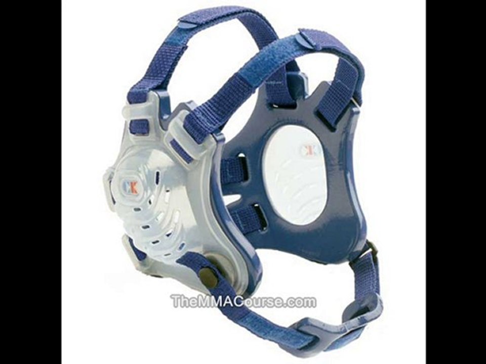 learn mixed martial arts online