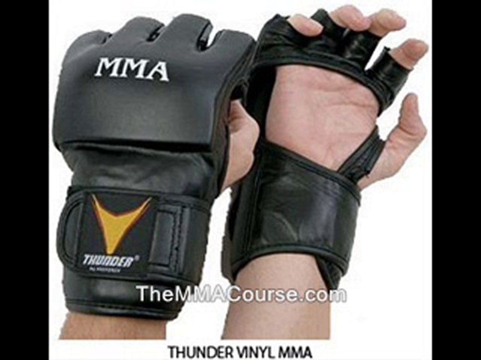 learn mixed martial arts online free