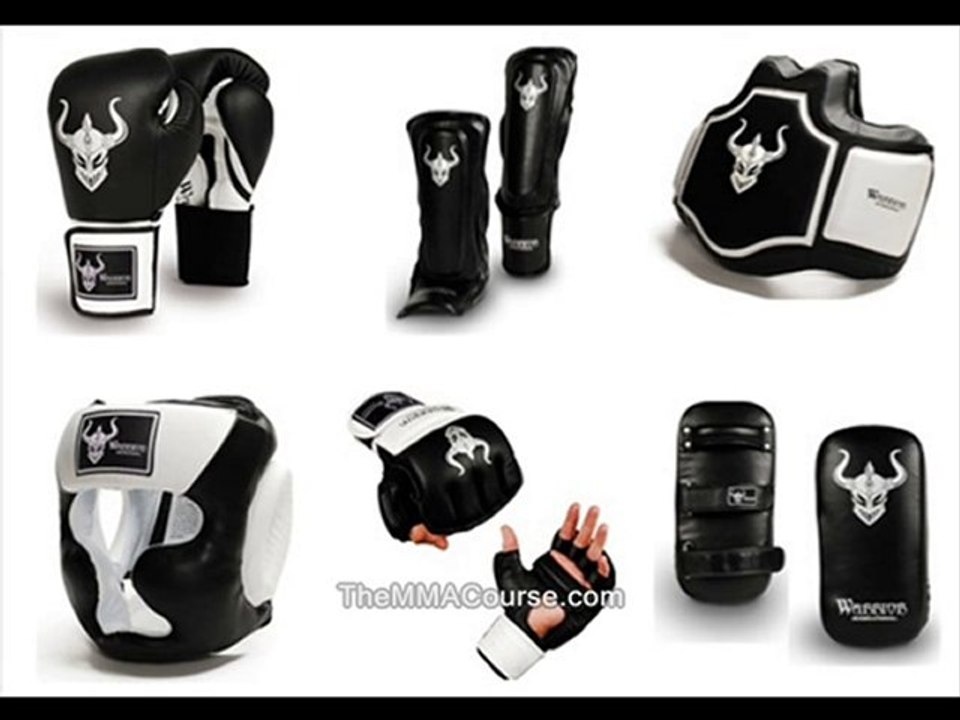 learn mma online videos