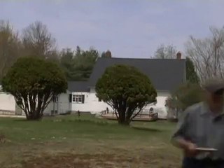 My Backyard Tree House