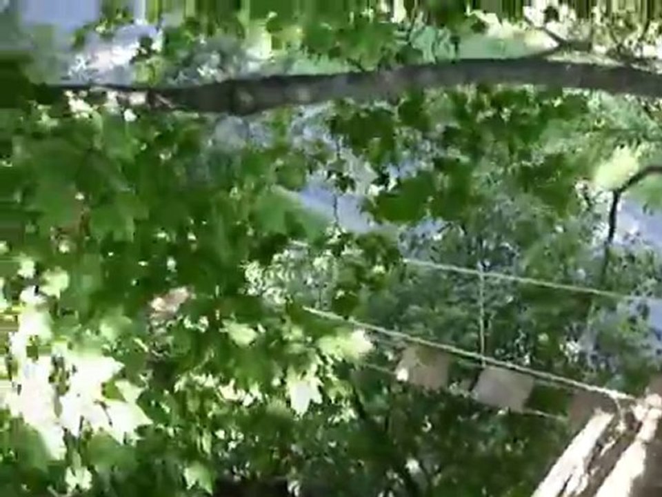Best TreeHouse Ever