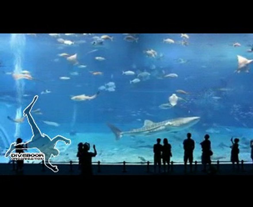 aquarium