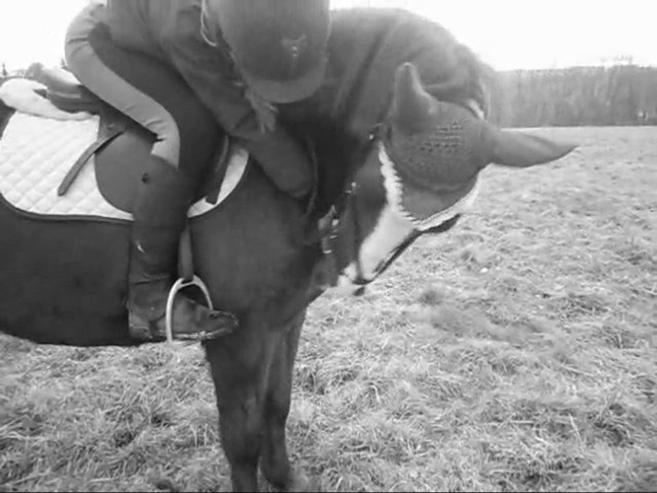 Paradis Equin .♥