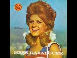 Neşe Karaböcek - Nerden Düştüm Ben Bu Aşka