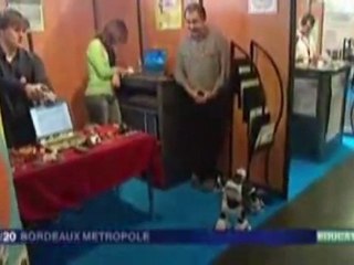 Salon Studyrama - Journal télévisé FR3 Bordeaux 19/20