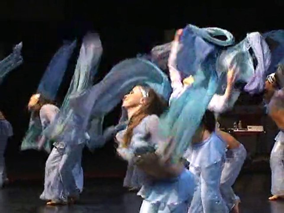 International Dance Organisation