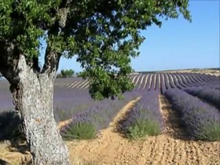 C'est ça ma Provence...