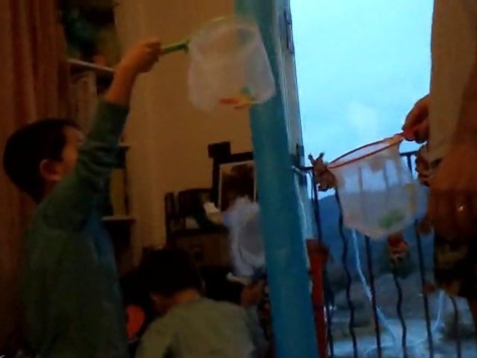 Vidéo0063