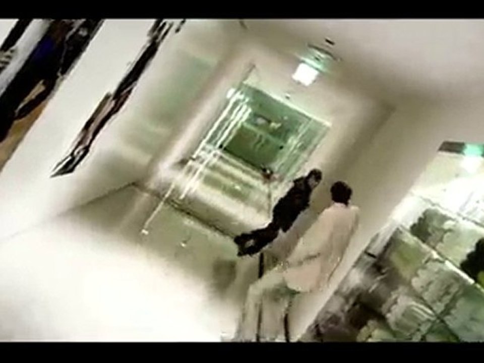 Super Junior Intro
