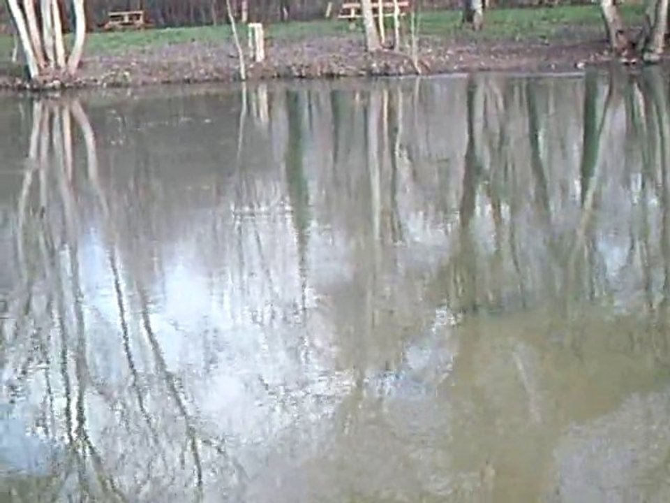BROCHET de 57cm