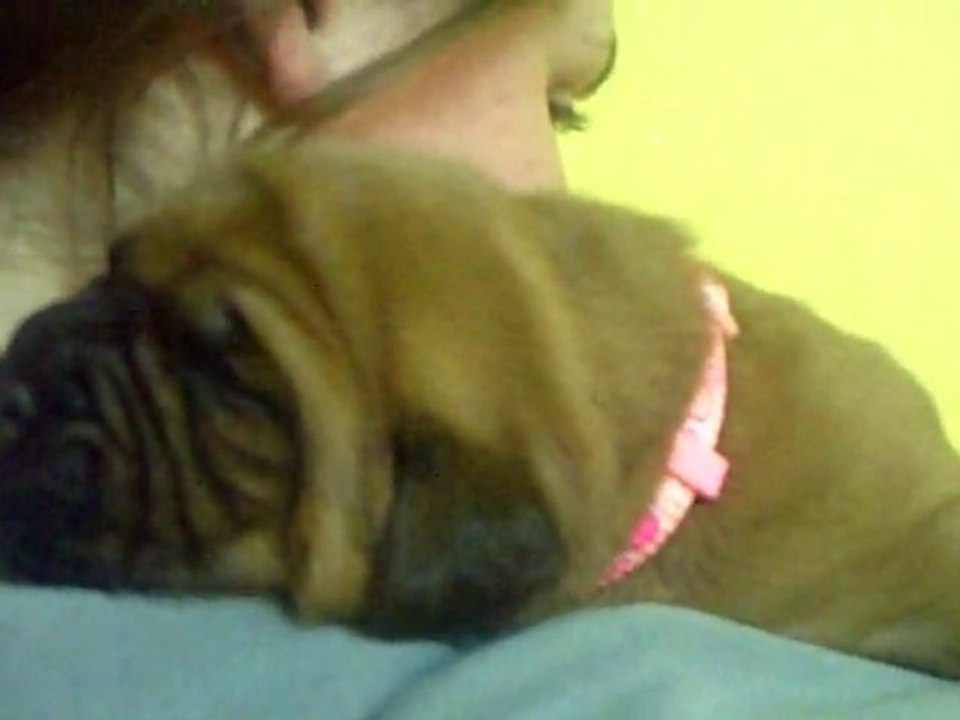 BBS de L'Exigence  15 jours fifille ( Crack  x Sevilla )