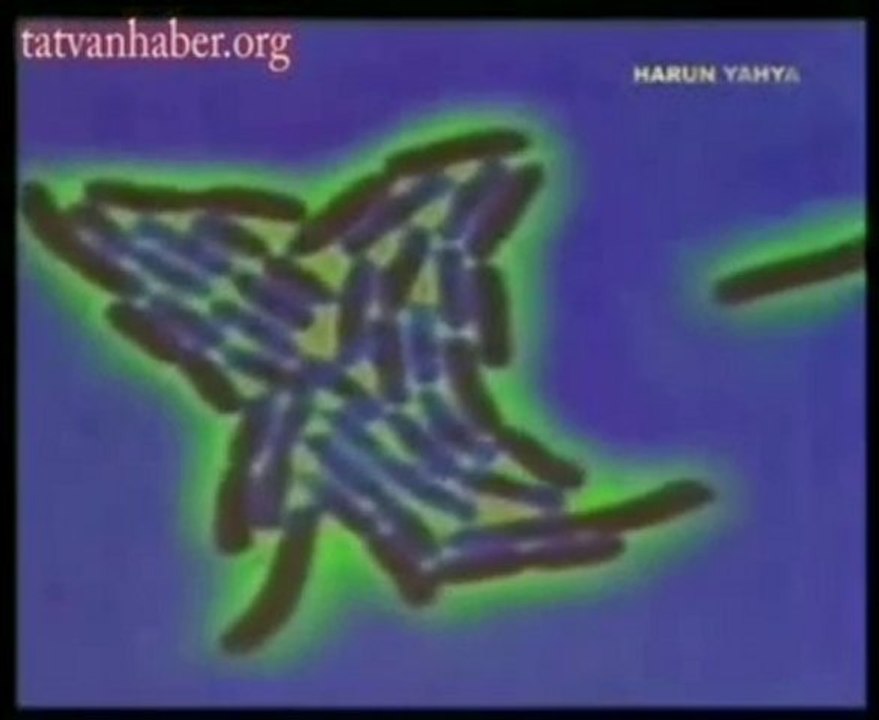 ALLAH,Alemlerin Rabbi'dir [www.tatvanhaber.org]
