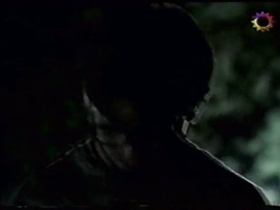 Años Maravillosos Cap. 22 - De quién son estos árboles (3/3)