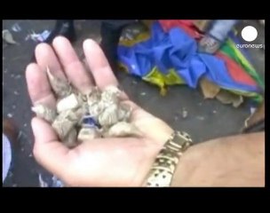 Pérou : 7 policiers blessés par des feux d'artifice