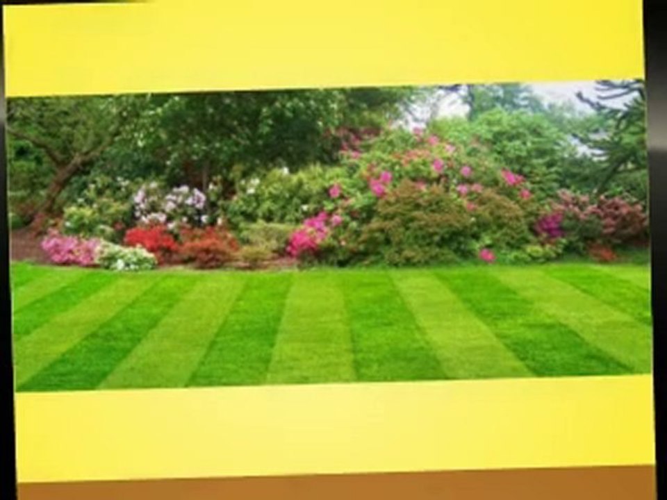 Nature Zap Weed Killer