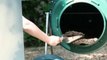 Reduce Odor with a Bin Composter