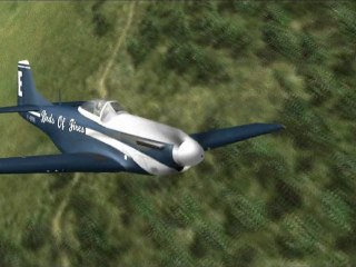 Promotion Birds Of Fires 2011