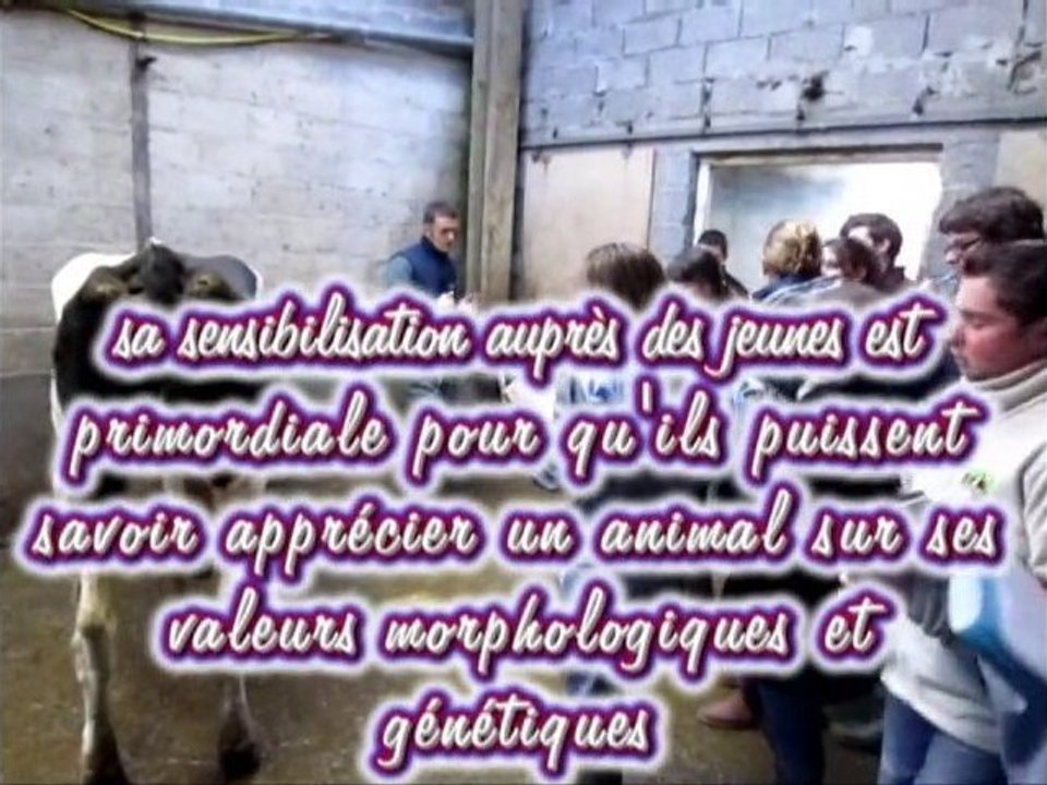 La classification en Holstein, toute une histoire ...