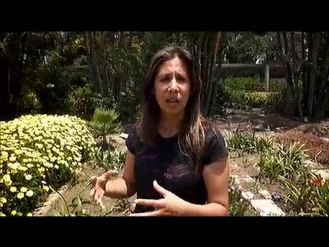 flores+en+peru-flores+peru- FloresEnPeru.com-2