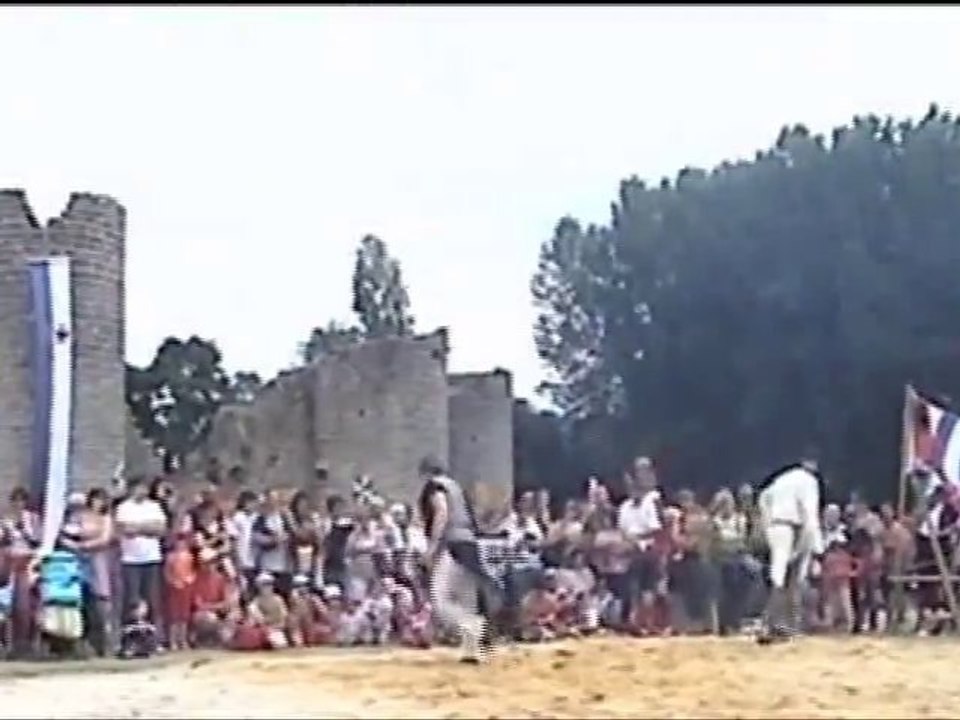 dogues a Commequiers 2010