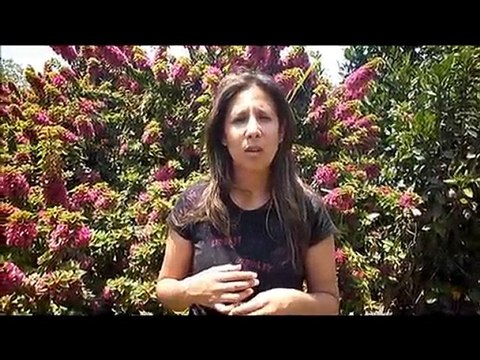 flores+en+peru-flores+peru- FloresEnPeru.com-4