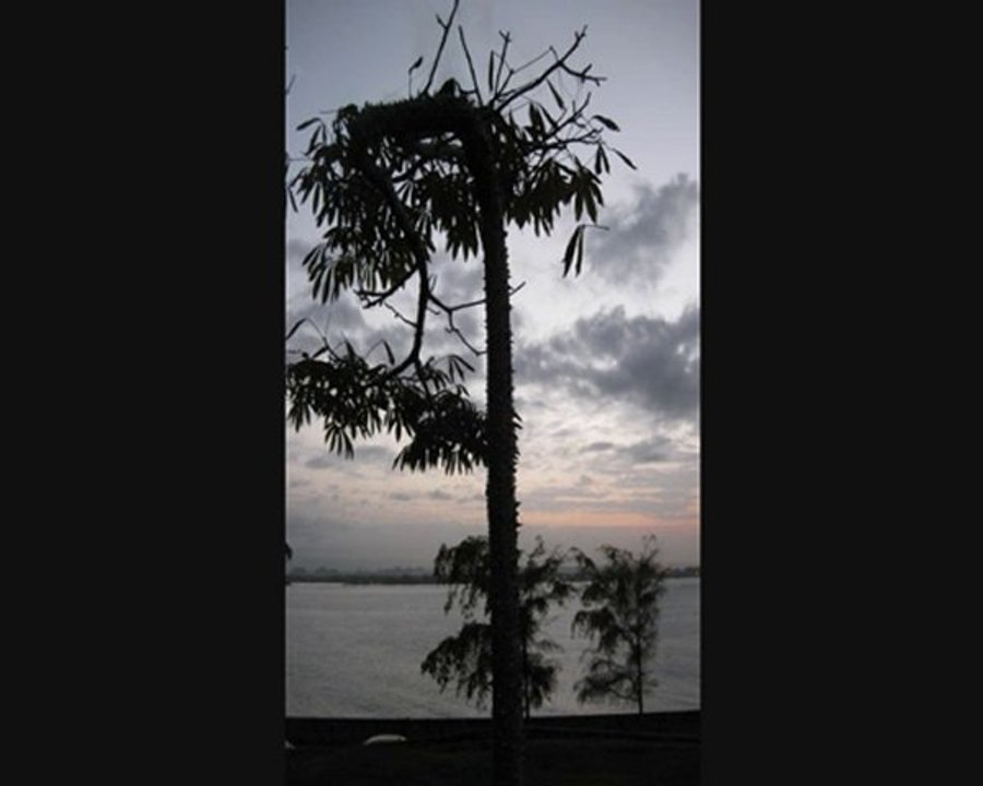 Electro House Techno (MIX) 2010