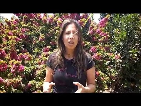 flores+en+peru-flores+peru- FloresEnPeru.com-5-peru