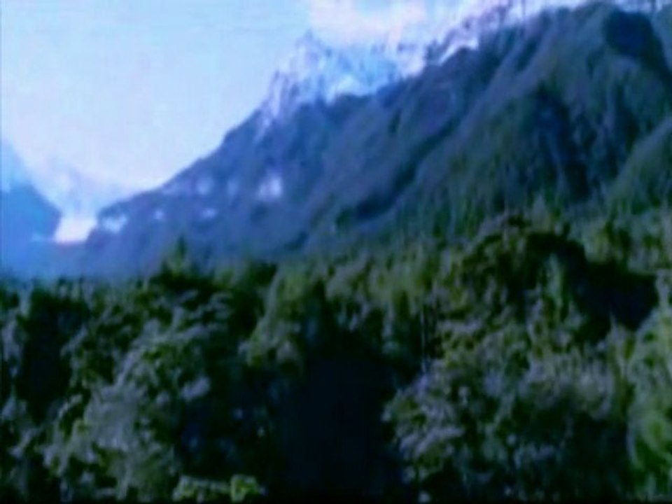 OSMAN OGULLARI- ÖMER F HAN