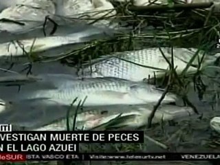 Misteriosa muerte de peces en lago de Haití