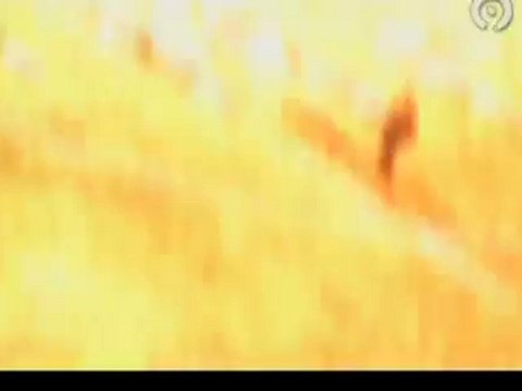 [Documental] 90 anys d_histÃ²ria - Valencia CF (Parte 2)