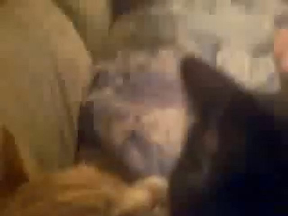 cat licks cat then the other cat bites cat for sex