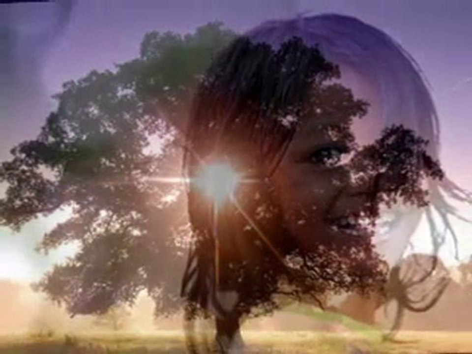 Erdoğan şimşek _ Gülüm..(YENİ BESTE)