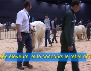 concours charolais