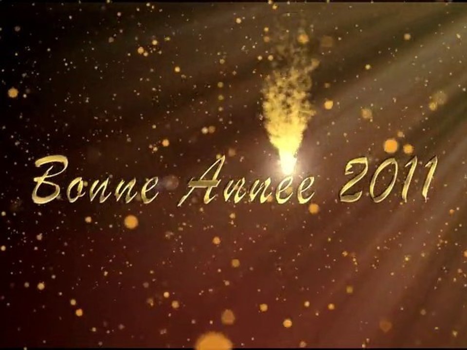 bonne année 2011