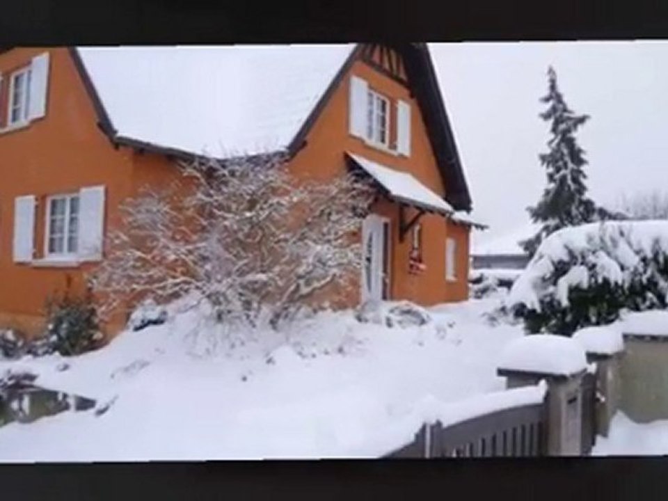 noël blanc_2010 aa