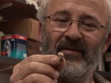 Des restes d'un Homo sapiens de 400.000 ans découverts en Israël