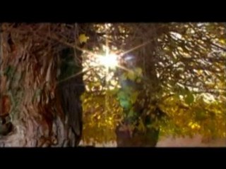 nusaybin kent belgeseli