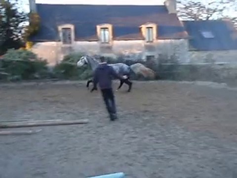 Ecuries du Nevez Radja 1