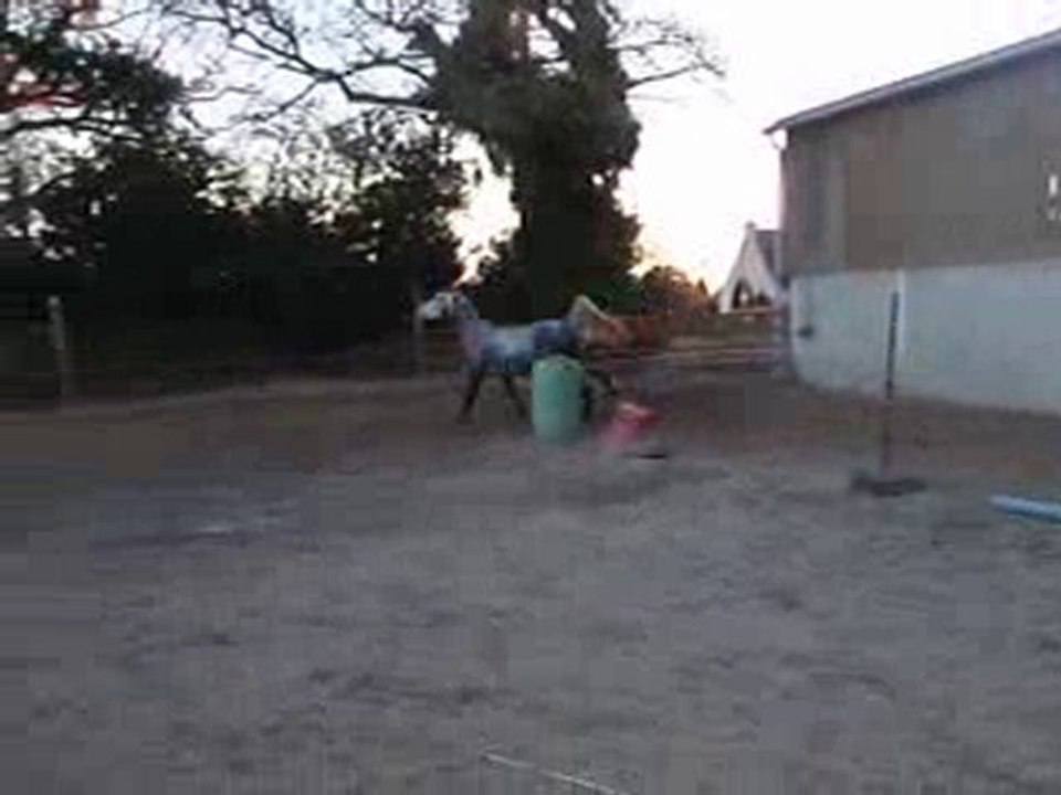 Ecuries du Nevez Radja 2