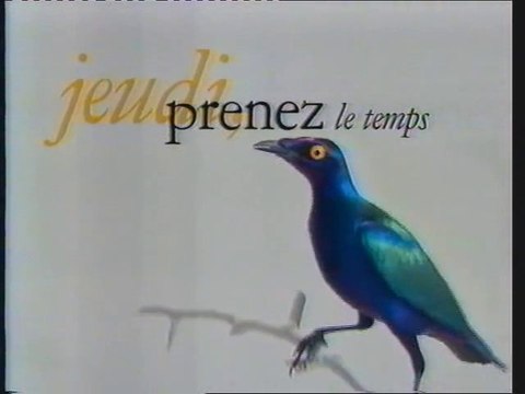 France 3 7 Août 1995 pubs,ba,soir 3 et météo