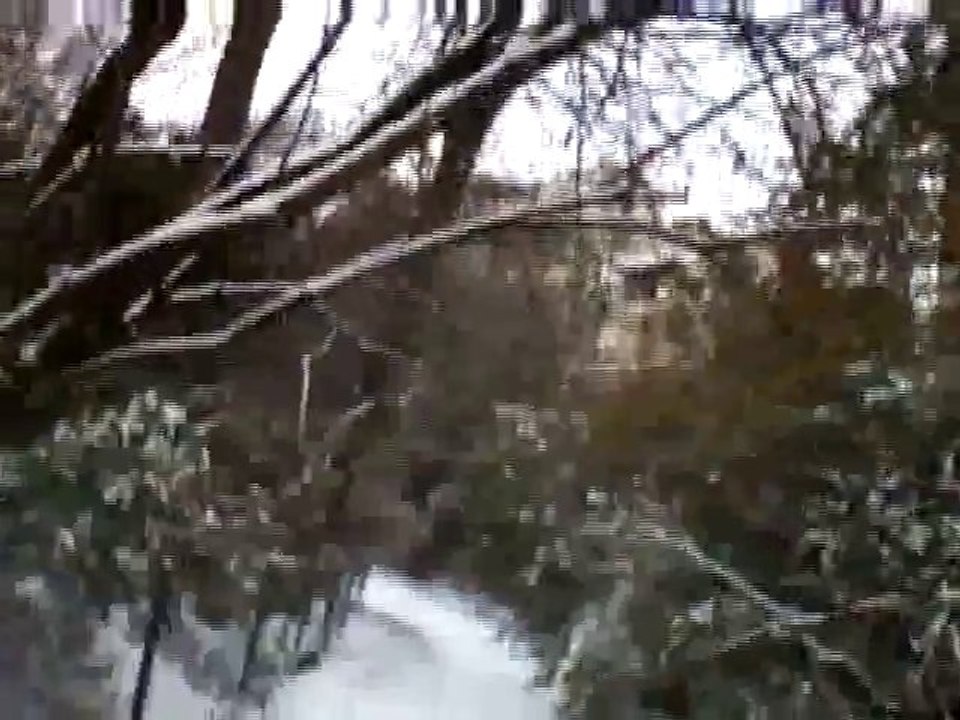 ...dans la neige