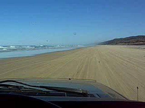 168 film cooloola spinning away - tint