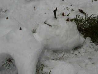 délire bonhomme de neige