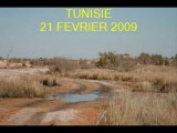 chasse au sanglier en tunisie fevrier 2009