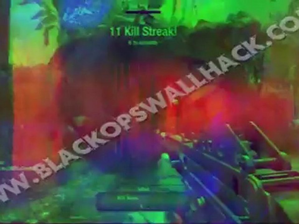 Call Of Duty: Black Ops First Ever Wallhack and Aimbot