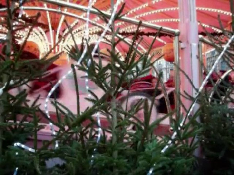 Fin d'année 2010 à Lille