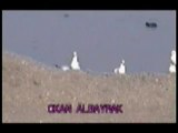 OKAN ALBAYRAK (Henüz 12 Yaşında)